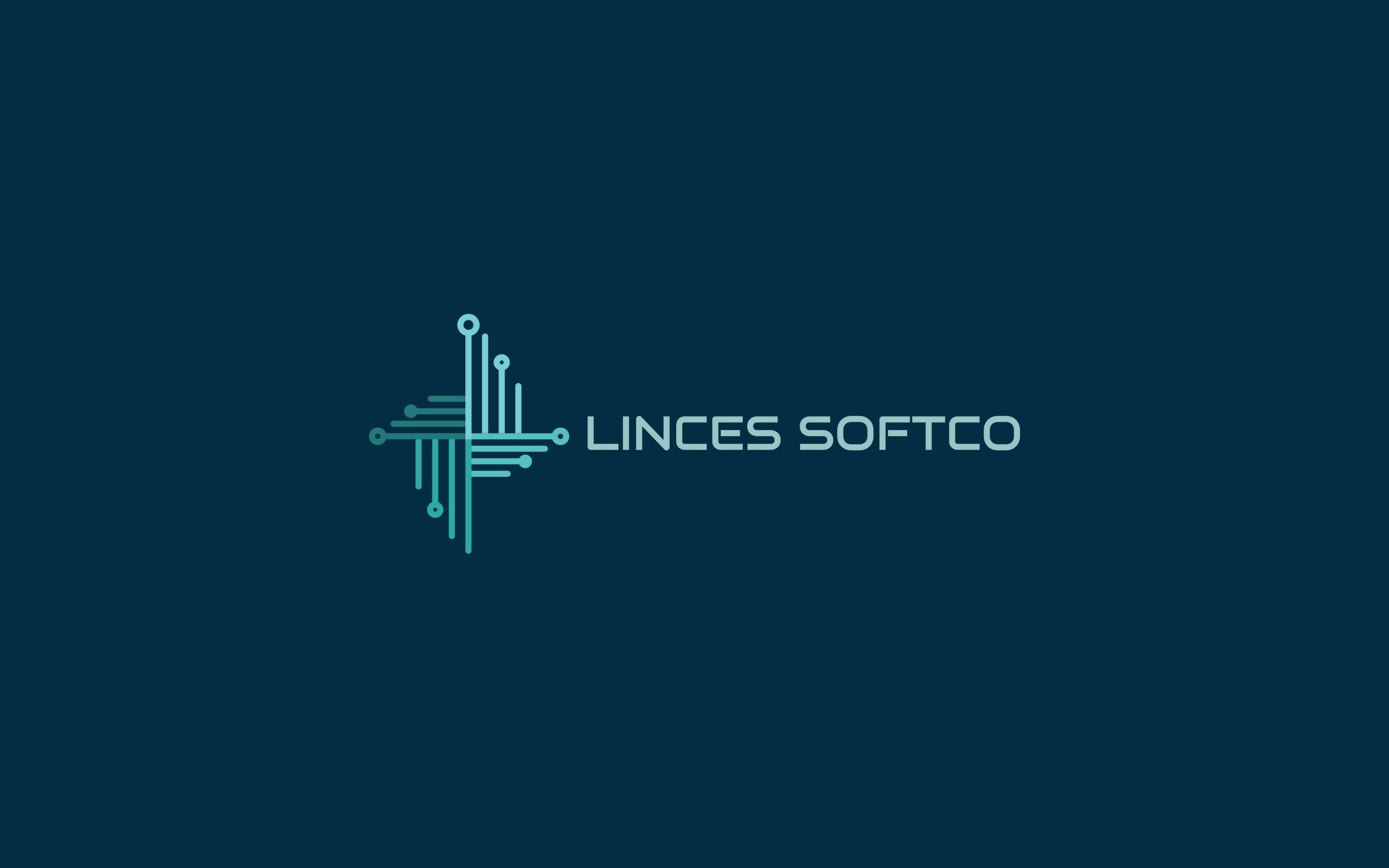 Linces Softco Limited
